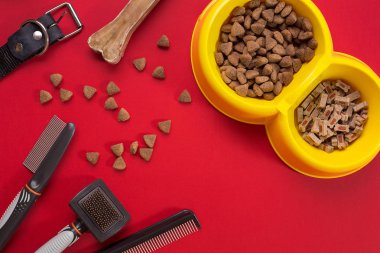 Köpek damat için aksesuar. Tarak ve köpekler için fırçalar. Üstten Görünüm
