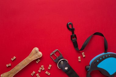 Yaka, mavi kase besleme, kira kontratı ve incelik köpekler için. Kırmızı zemin üzerine izole