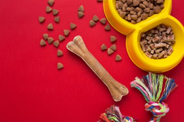 Evde beslenen hayvan aksesuarlar kırmızı zemin üzerine. Üstten Görünüm