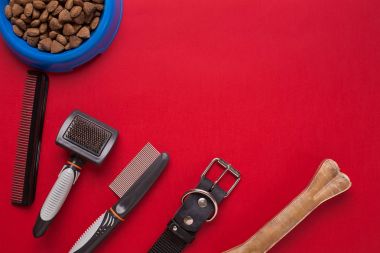 Evde beslenen hayvan aksesuarlar kırmızı zemin üzerine. Üstten Görünüm