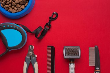 Evde beslenen hayvan aksesuarlar kırmızı zemin üzerine. Üstten Görünüm