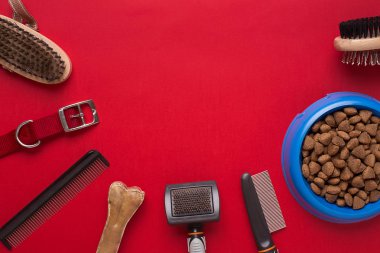 Evde beslenen hayvan aksesuarlar kırmızı zemin üzerine. Üstten Görünüm