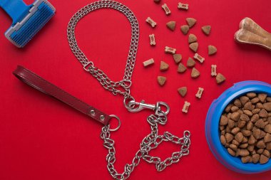 Evde beslenen hayvan aksesuarlar kırmızı zemin üzerine. Üstten Görünüm