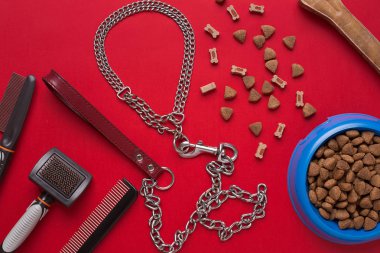 Evde beslenen hayvan aksesuarlar kırmızı zemin üzerine. Üstten Görünüm