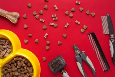 Evde beslenen hayvan aksesuarlar kırmızı zemin üzerine. Üstten Görünüm