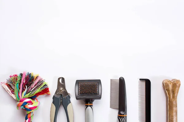 Acessories for the grooming of the dog. Combs and brushes for dogs. Top view — Stock Photo, Image