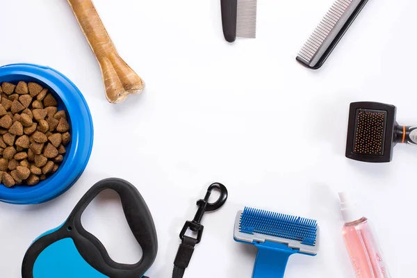 Yaka, besleme, kira kontratı, incelik, mavi kaseyle tarak ve köpekler için fırçalar. Beyaz arka plan üzerinde izole