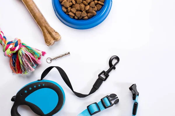 Комір, блакитна миска з кормом, повідцем і делікатесом для собак. Ізольовані на білому тлі — стокове фото