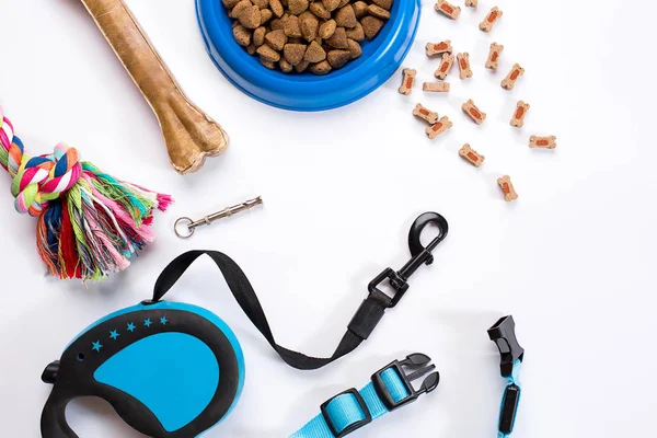 Yaka, mavi kase besleme, kira kontratı ve incelik köpekler için. Beyaz arka plan üzerinde izole