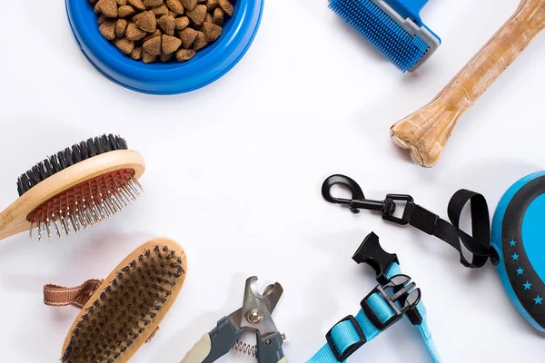 Yaka, kase besleme, kira kontratı, incelik, tarak ve köpekler için fırçalar. Beyaz arka plan üzerinde izole