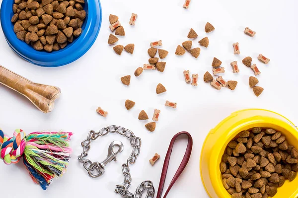 Yaka, mavi kase besleme, kira kontratı ve incelik köpekler için. Beyaz arka plan üzerinde izole