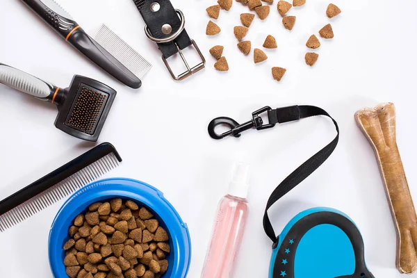 Yaka, kase besleme, kira kontratı, incelik, tarak ve köpekler için fırçalar. Beyaz arka plan üzerinde izole