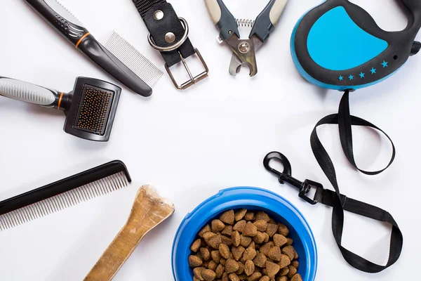 Yaka, kase besleme, kira kontratı, incelik, tarak ve köpekler için fırçalar. Beyaz arka plan üzerinde izole