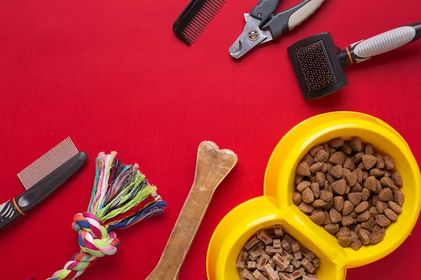 Pet accessories on red background. Top view — Stock Photo, Image