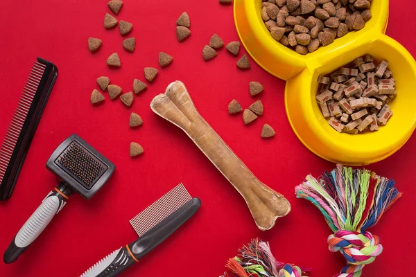 Pet accessories on red background. Top view — Stock Photo, Image