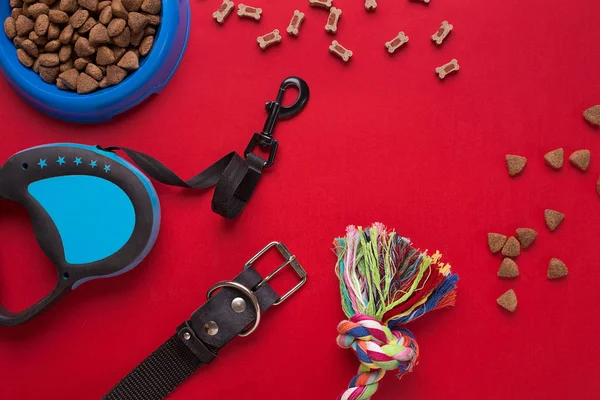 Evde beslenen hayvan aksesuarlar kırmızı zemin üzerine. Üstten Görünüm
