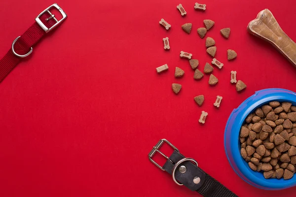 Evde beslenen hayvan aksesuarlar kırmızı zemin üzerine. Üstten Görünüm