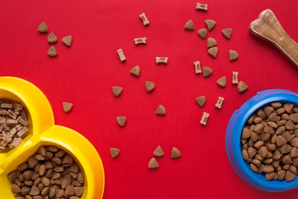 Evde beslenen hayvan aksesuarlar kırmızı zemin üzerine. Üstten Görünüm