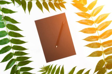 Eskiz defteri ve kalemleri beyaz masada doğal kompozisyonu yeşil dalları ile dekore edilmiştir. Düz yatıyordu, en iyi görünümü, görünümü yukarıdaki. Güneş parlaması