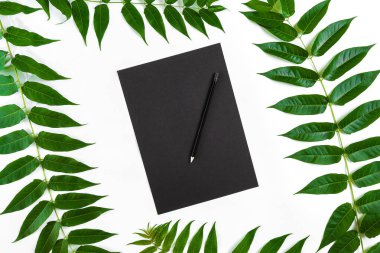 Eskiz defteri ve kalemleri beyaz masada doğal kompozisyonu yeşil dalları ile dekore edilmiştir. Düz yatıyordu, üst yukarıdan görünümü