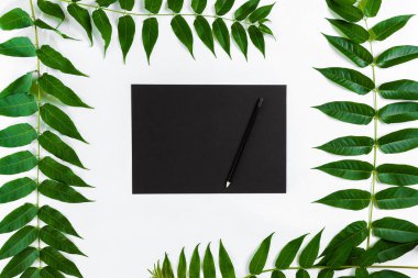 Eskiz defteri ve kalemleri beyaz masada doğal kompozisyonu yeşil dalları ile dekore edilmiştir. Düz yatıyordu, üst yukarıdan görünümü