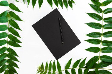 Eskiz defteri ve kalemleri beyaz masada doğal kompozisyonu yeşil dalları ile dekore edilmiştir. Düz yatıyordu, üst yukarıdan görünümü