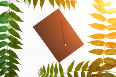 Eskiz defteri ve kalemleri beyaz masada doğal kompozisyonu yeşil dalları ile dekore edilmiştir. Düz yatıyordu, en iyi görünümü, görünümü yukarıdaki. Güneş parlaması