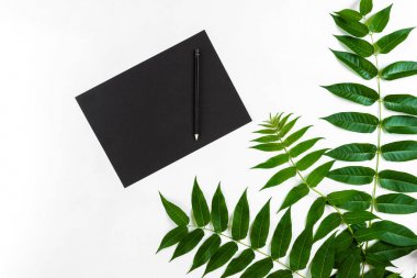 Eskiz defteri ve kalemleri beyaz masada doğal kompozisyonu yeşil dalları ile dekore edilmiştir. Düz yatıyordu, üst yukarıdan görünümü