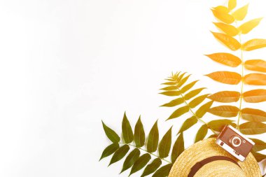 Hasır şapka ile yeşil yaprakları ve beyaz arka plan, yaz arka plan üzerinde eski fotoğraf makinesi. Üstten Görünüm. Güneş parlaması