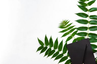 Eskiz defteri ve kalemleri beyaz masada doğal kompozisyonu yeşil dalları ile dekore edilmiştir. Düz yatıyordu, üst yukarıdan görünümü