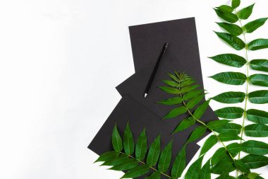 Eskiz defteri ve kalemleri beyaz masada doğal kompozisyonu yeşil dalları ile dekore edilmiştir. Düz yatıyordu, üst yukarıdan görünümü