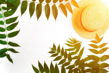 Arka plan beyaz yaprak yeşil dallar ve saman haton. düz yatıyordu, en iyi görünüm. Güneş patlaması