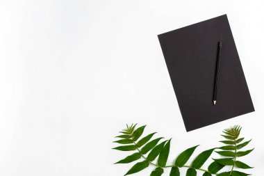 Eskiz defteri ve kalemleri beyaz masada doğal kompozisyonu yeşil dalları ile dekore edilmiştir. Düz yatıyordu, üst yukarıdan görünümü