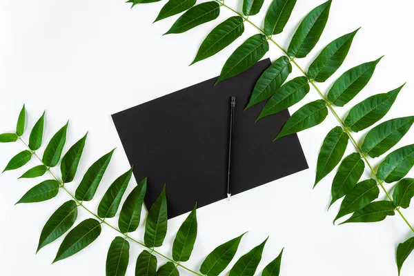 Eskiz defteri ve kalemleri beyaz masada doğal kompozisyonu yeşil dalları ile dekore edilmiştir. Düz yatıyordu, üst yukarıdan görünümü