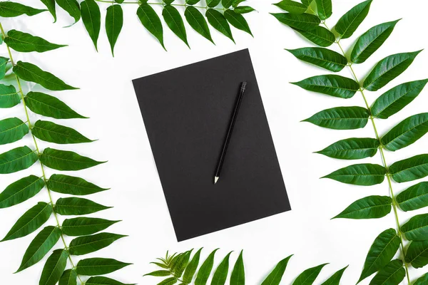 Eskiz defteri ve kalemleri beyaz masada doğal kompozisyonu yeşil dalları ile dekore edilmiştir. Düz yatıyordu, üst yukarıdan görünümü