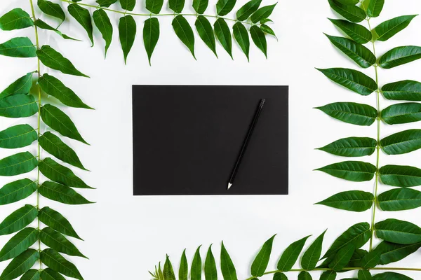 Eskiz defteri ve kalemleri beyaz masada doğal kompozisyonu yeşil dalları ile dekore edilmiştir. Düz yatıyordu, üst yukarıdan görünümü