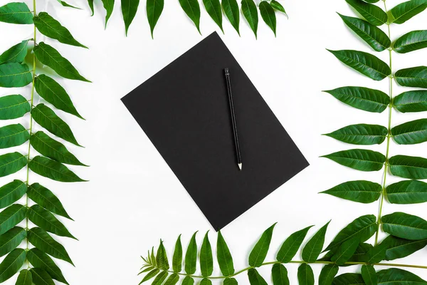 Eskiz defteri ve kalemleri beyaz masada doğal kompozisyonu yeşil dalları ile dekore edilmiştir. Düz yatıyordu, üst yukarıdan görünümü