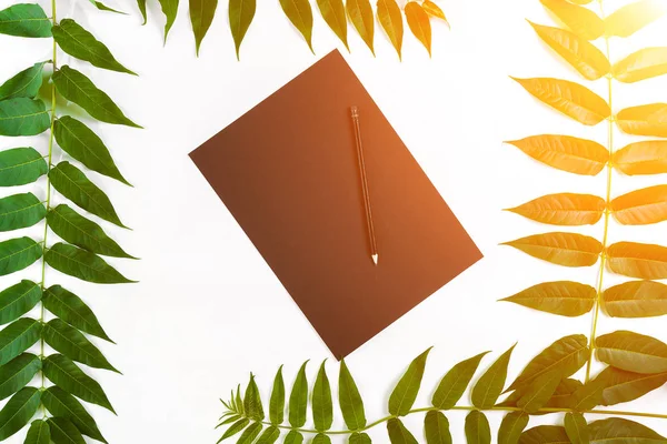 Eskiz defteri ve kalemleri beyaz masada doğal kompozisyonu yeşil dalları ile dekore edilmiştir. Düz yatıyordu, en iyi görünümü, görünümü yukarıdaki. Güneş parlaması