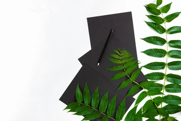 Eskiz defteri ve kalemleri beyaz masada doğal kompozisyonu yeşil dalları ile dekore edilmiştir. Düz yatıyordu, üst yukarıdan görünümü