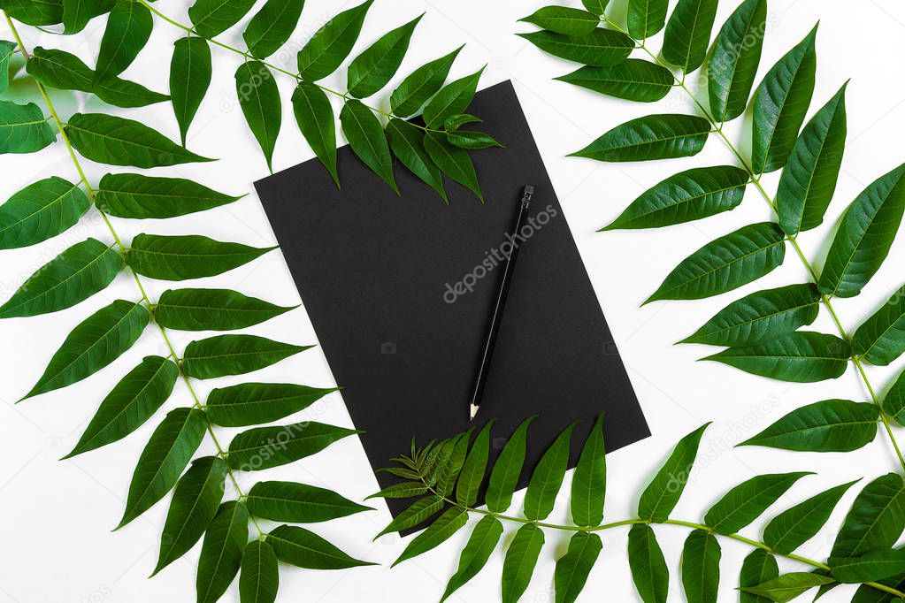 Natural composition with sketchbook and pencils on white table, decorated with green branches. Flat lay, top view, view from above