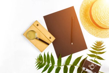 Hasır şapka ile yeşil yaprakları ve beyaz arka plan, yaz arka plan üzerinde eski fotoğraf makinesi. Üstten Görünüm. Güneş parlaması