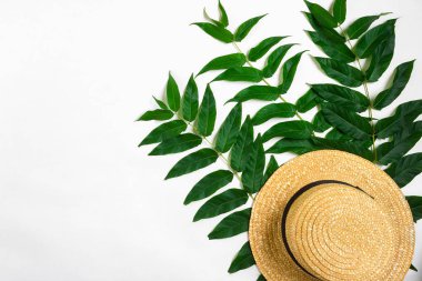 Arka plan beyaz yaprak yeşil dallar ve saman haton. düz yatıyordu, en iyi görünümü