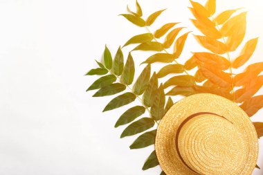 Arka plan beyaz yaprak yeşil dallar ve saman haton. düz yatıyordu, en iyi görünüm. Güneş patlaması