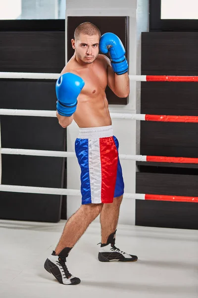Boxeador con guantes azules calentándose en el ring — Foto de Stock