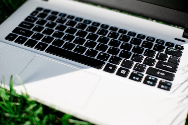 boş ekranda yeşil çim ile dizüstü bilgisayar