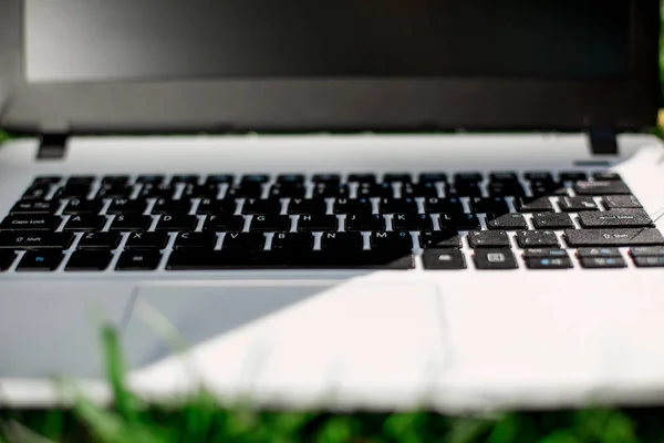 Laptop med blank skärm på grön gräsmatta — Stockfoto