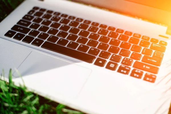 boş ekranda yeşil çim ile dizüstü bilgisayar