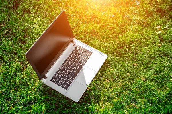 boş ekranda yeşil çim ile dizüstü bilgisayar