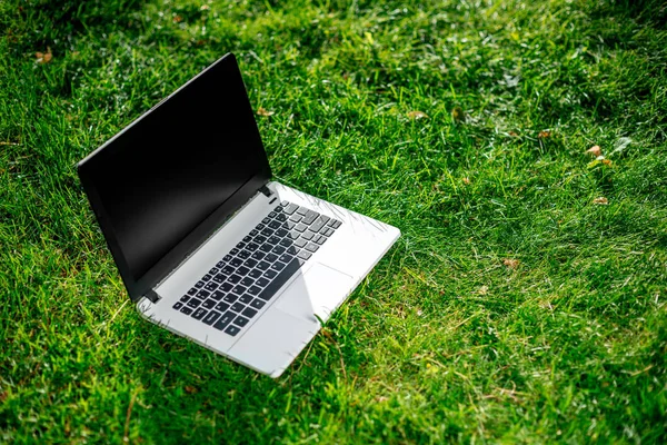 Laptop med blank skärm på grön gräsmatta — Stockfoto