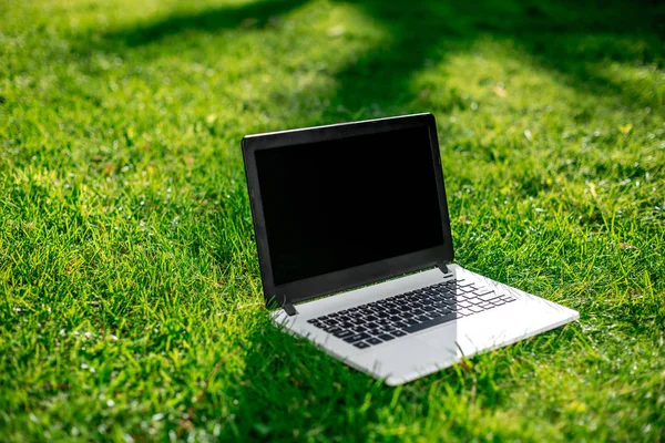 stock image Laptop with blank screen on green lawn